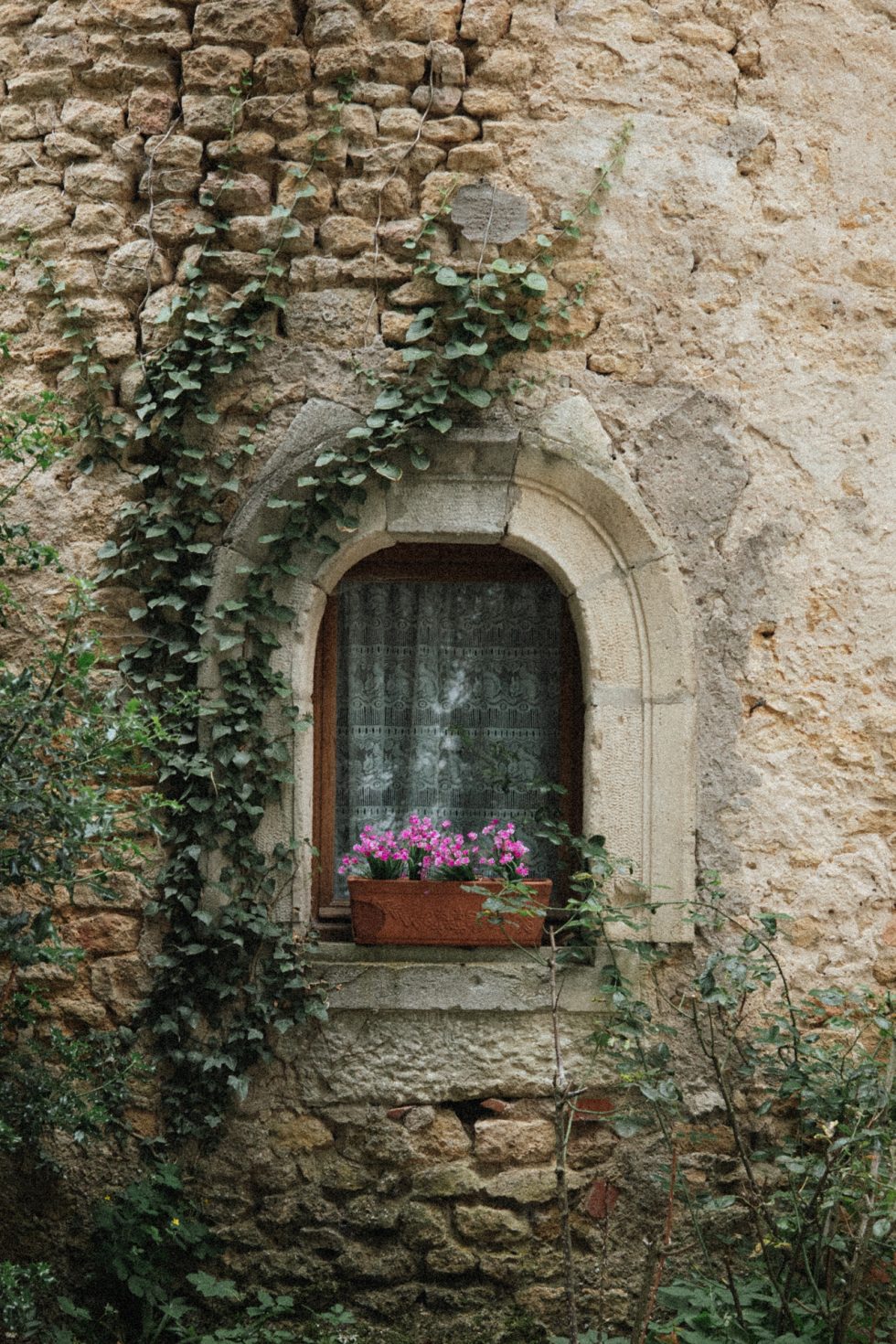 Fenêtre en pierre recouverte de lierre au Château de Morey
