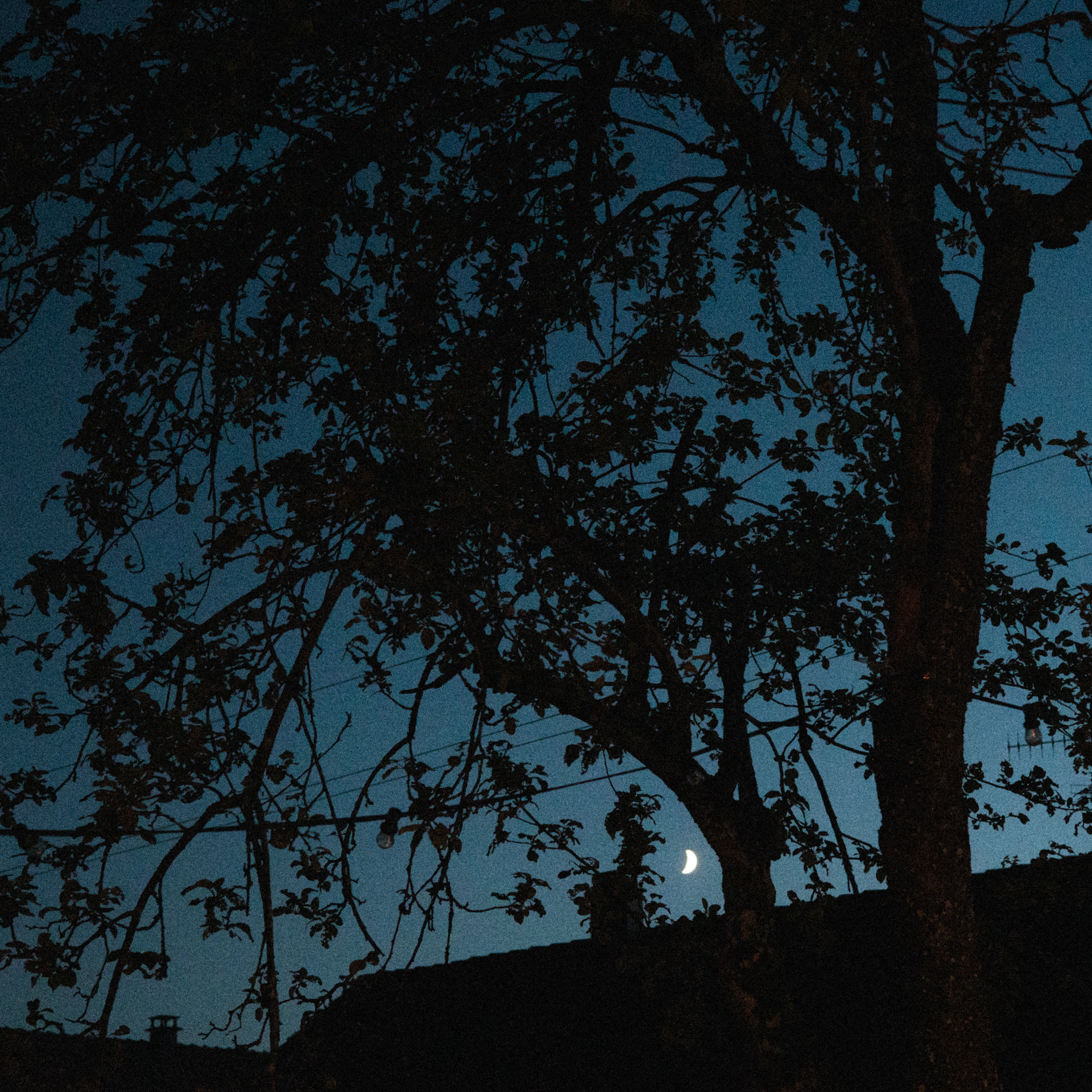 Scène nocturne pendant un mariage en Alsace. Un arbre et une maison apparaissent en silhouette