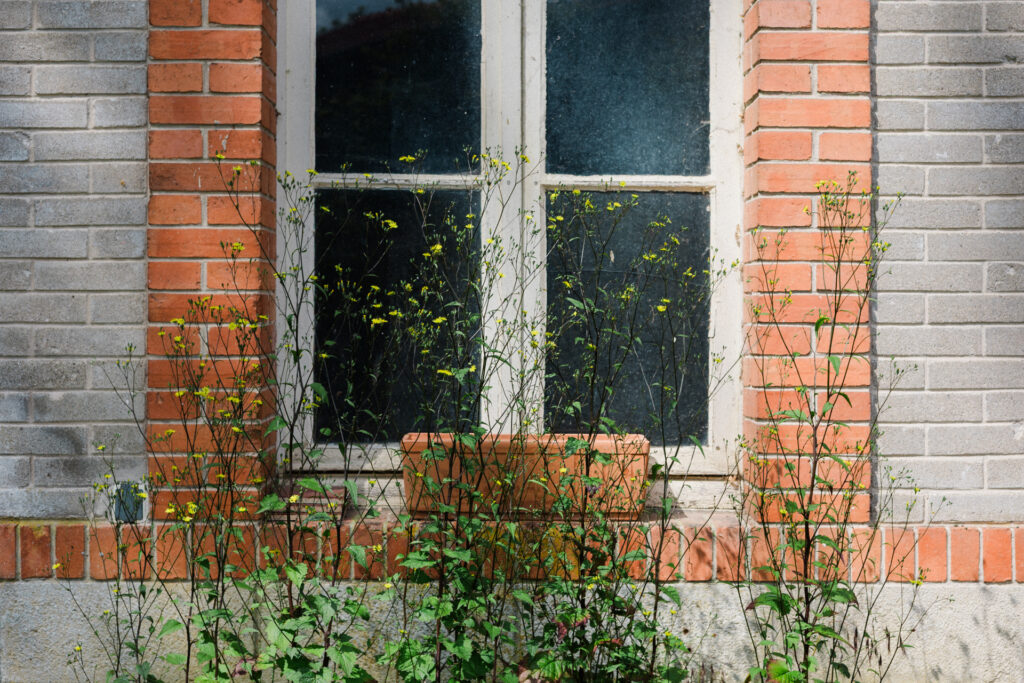 Détail d'une fenêtre du Château des Aulnes