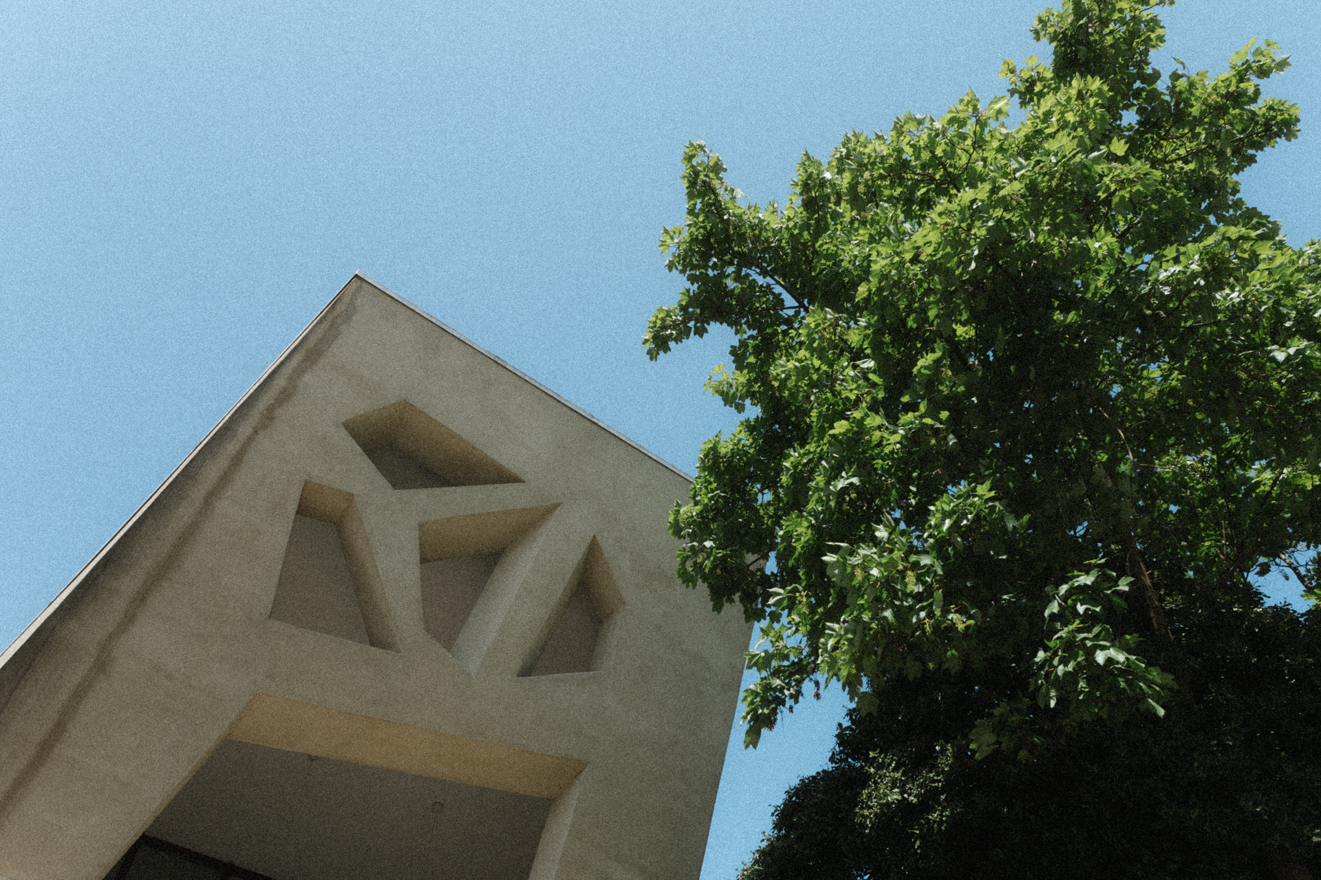 Façade contemporaine du Schengener Haff avec architecture angulaire et arbre au premier plan sous ciel bleu